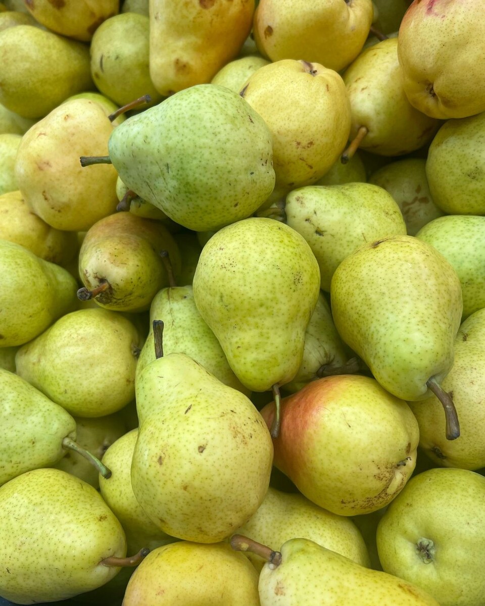 Источник фото: Canva