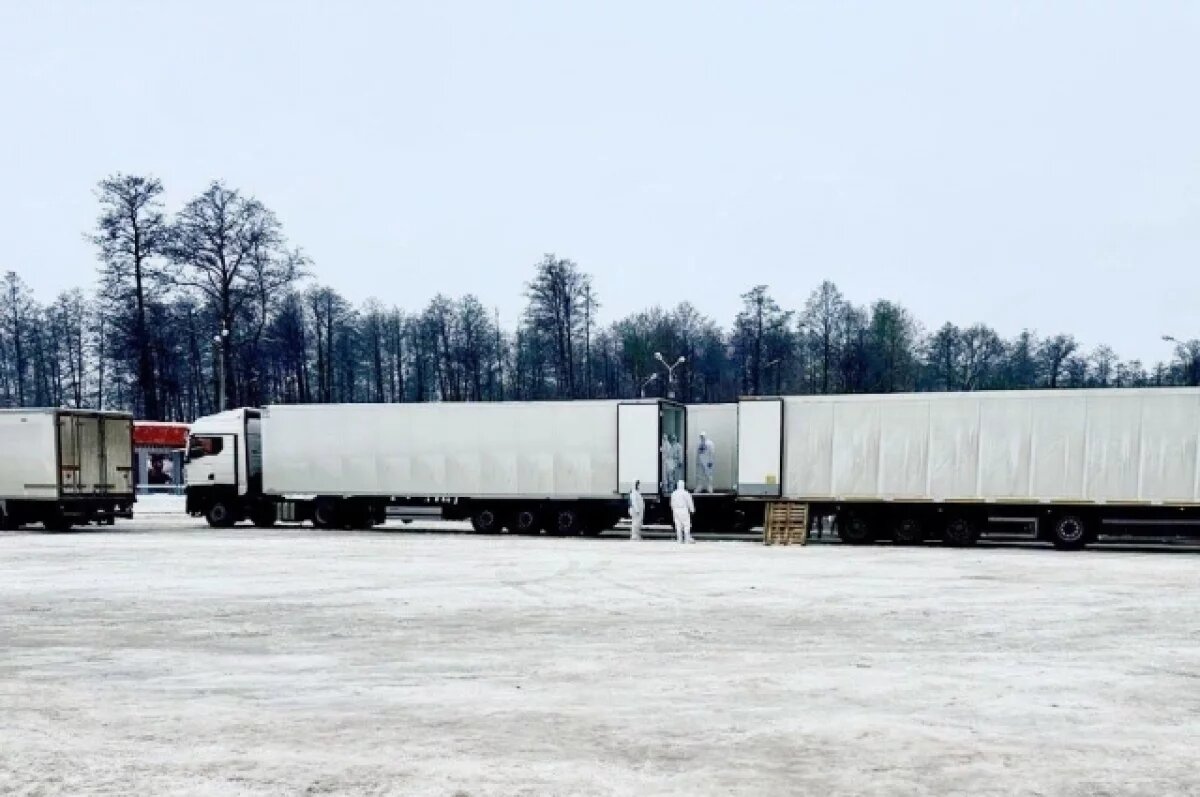    Мединский показал кадры с места обмена телами военных между РФ и Украиной