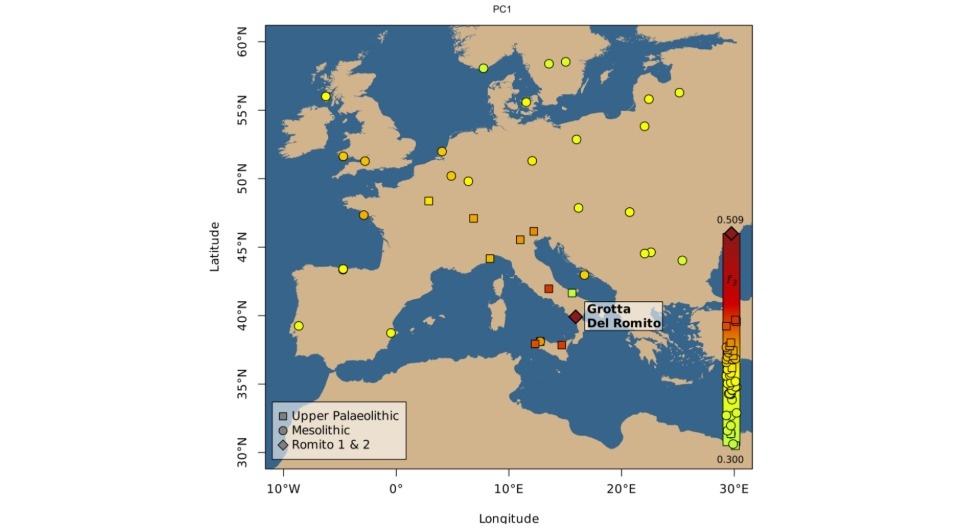   Daniel Fernandes et al. / The New England Journal of Medicine, 2026