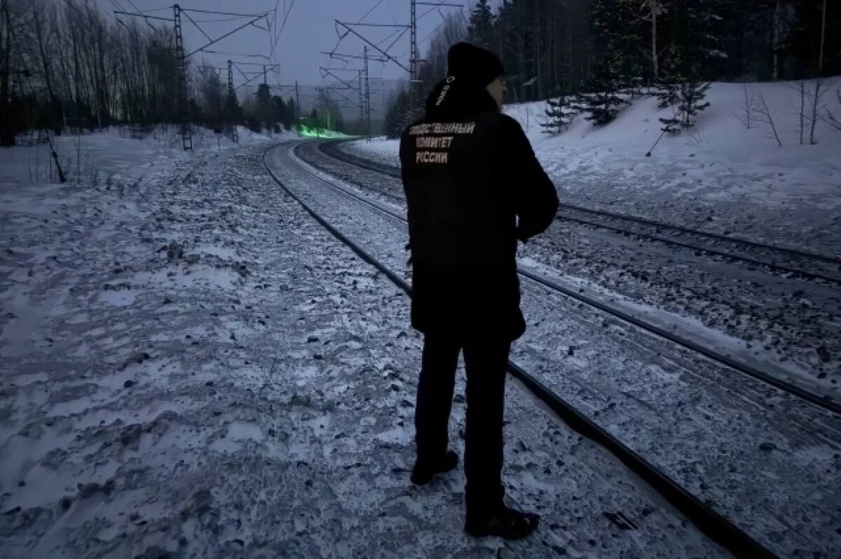    Мужчина погиб под колёсами грузового поезда на перегоне под Красноярском