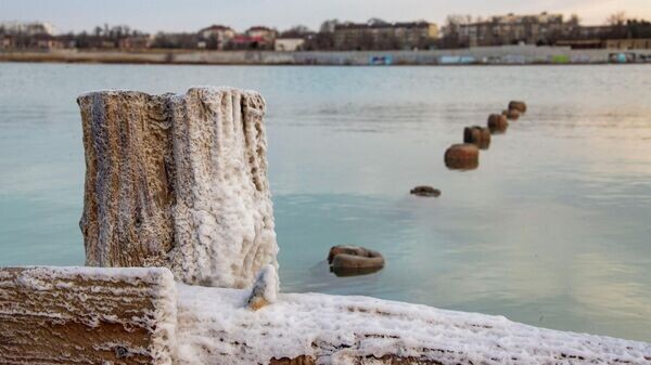    © РИА Новости Крым . Дмитрий Макеев