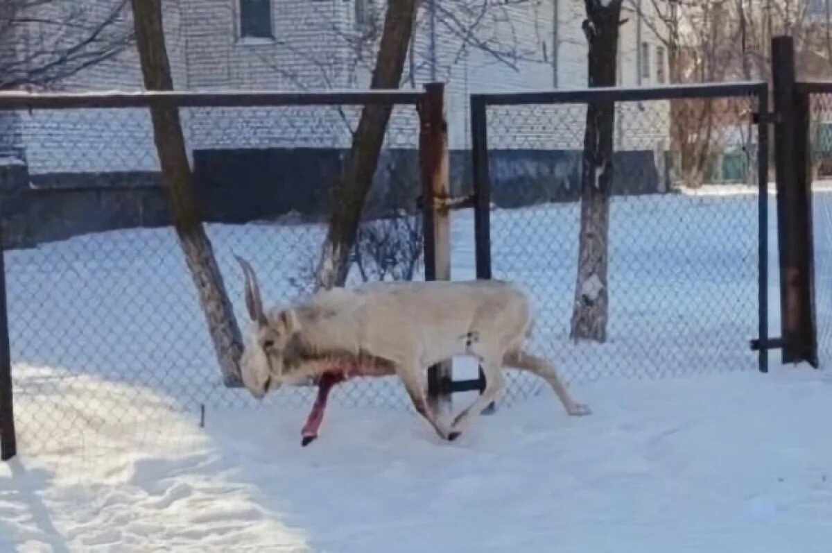    Никто помогать не будет.