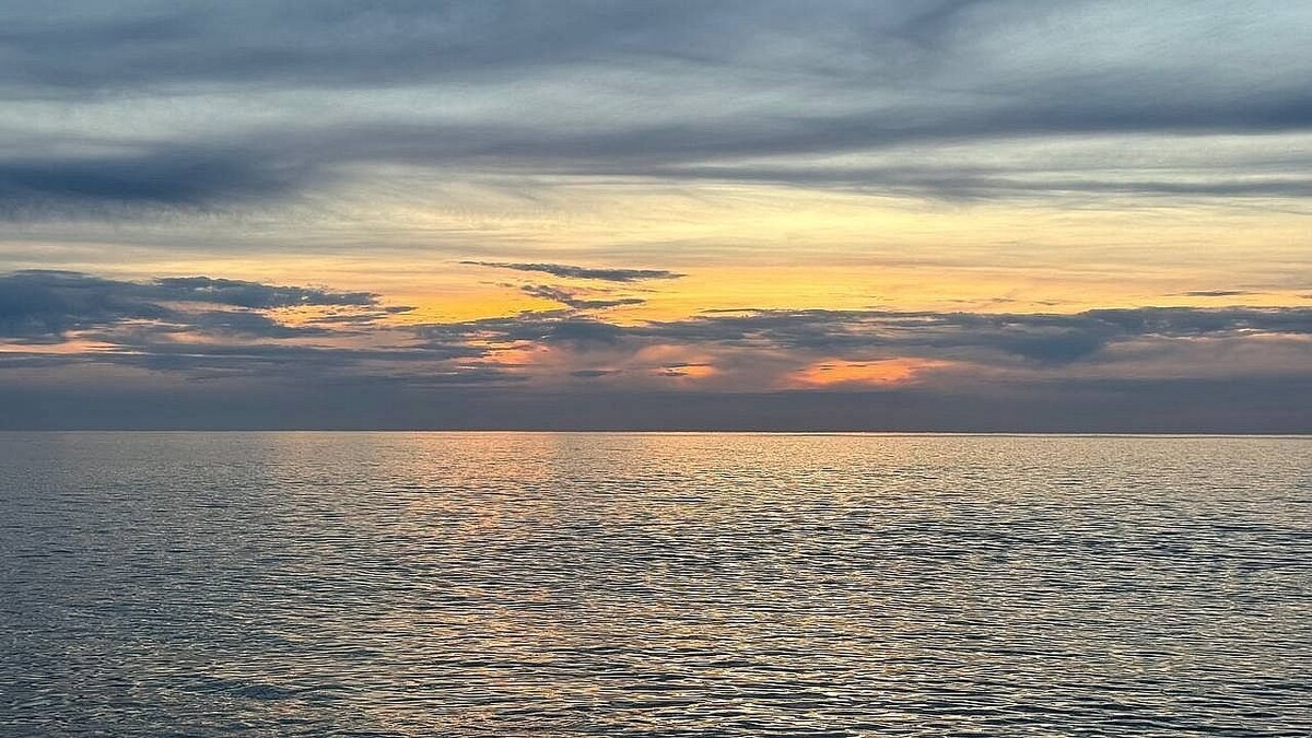    Фото: телеканал «Краснодар»