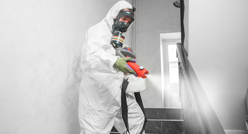 Как избавиться от тараканов раз и навсегда