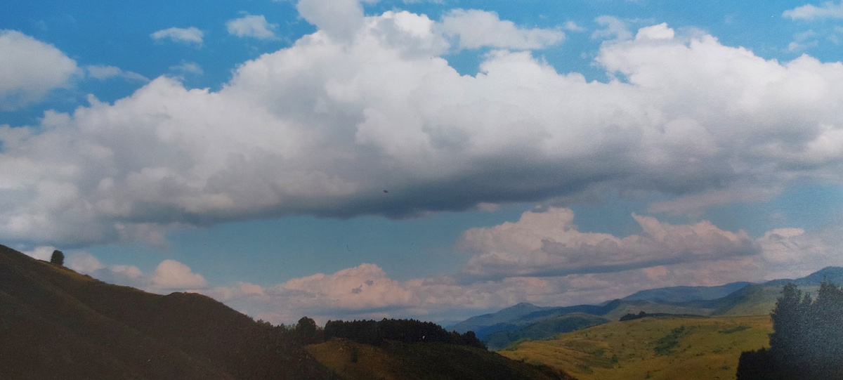 Горный Чарыш. Красота там на родине, конечно. Но и проблем полно. Все местные и краевые паблики рассказывают, что мусор там сегодня - главная проблема. 