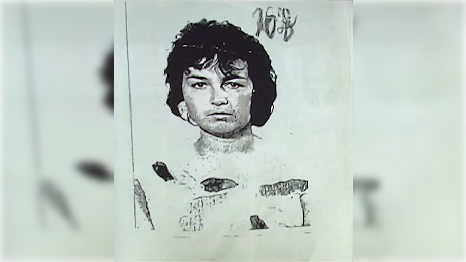 Кадр эфира: телеканал "РЕН ТВ"