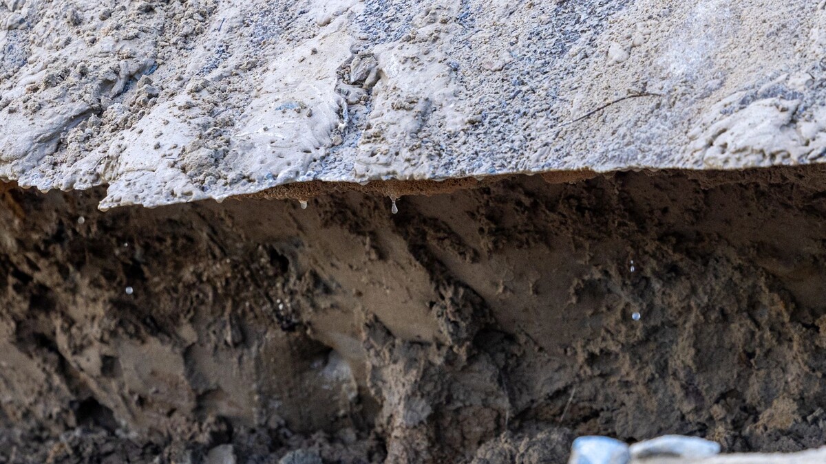    Фото: Фёдор Воронов / «Ямал-Медиа»