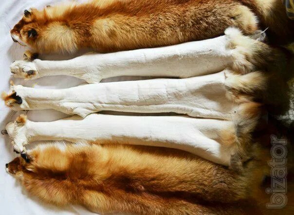 Фото взято из интернета 