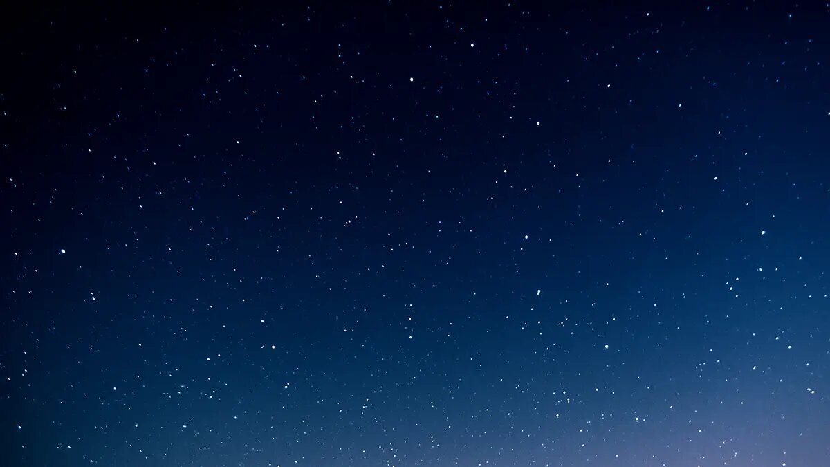    Фото: vm.ru Мария Михайлова