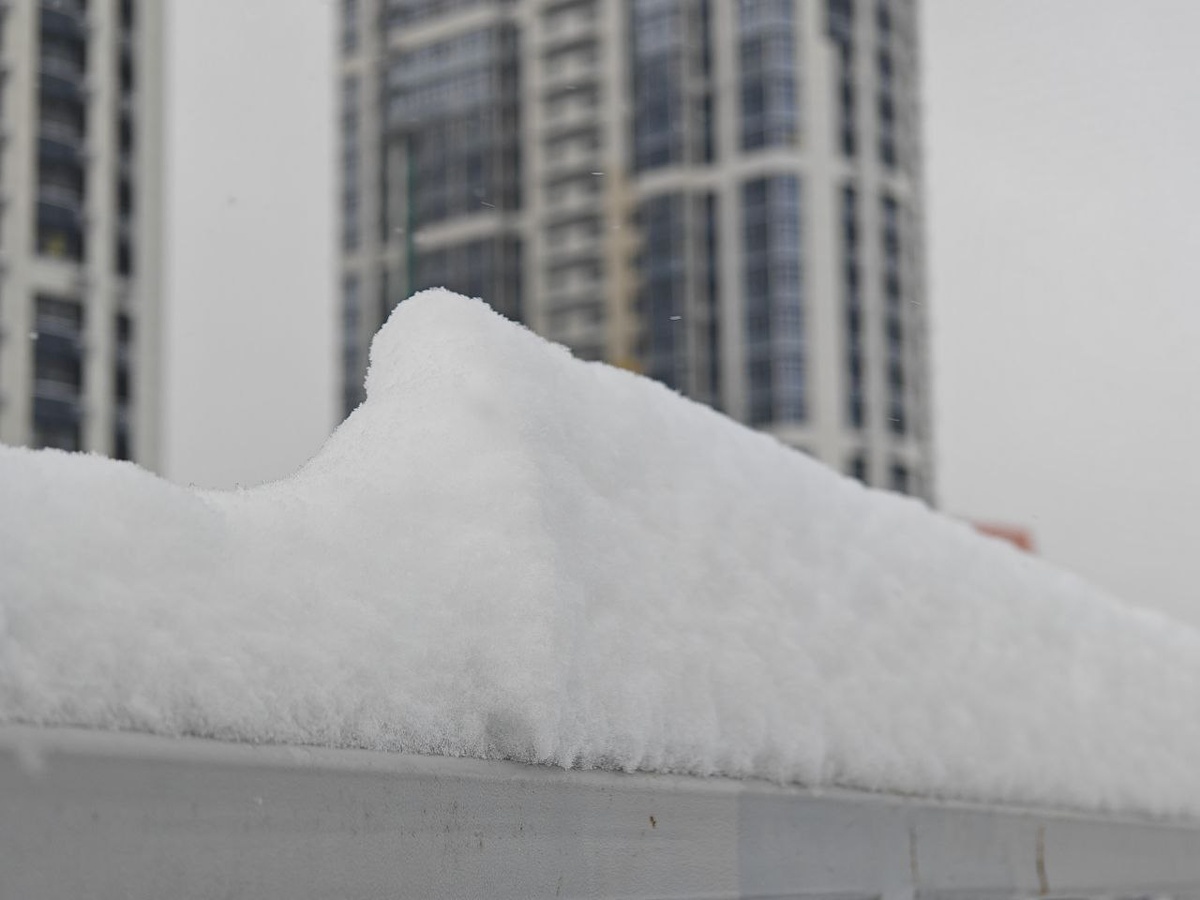    Фото: Юрий Серебренников/BFM Кубань