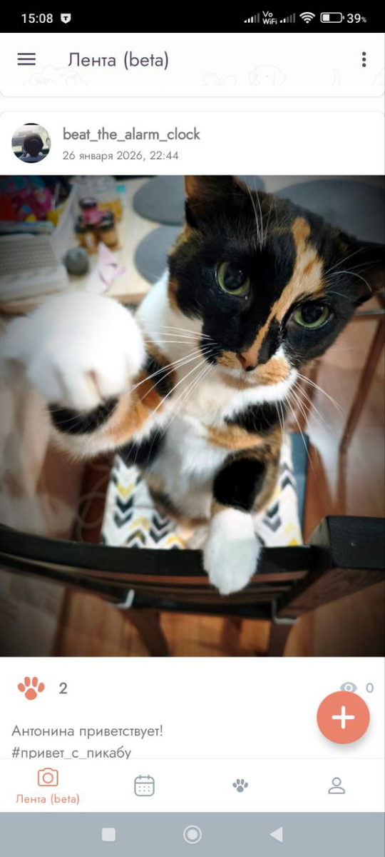 При просмотре ленты теперь можно сделать лайк. И видно количесво просмотревших в прилоежении 