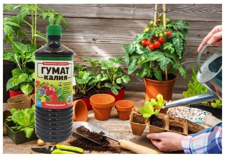 Гумат калия тоже хорошее средство