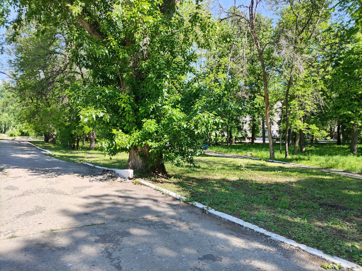 Фото автора.