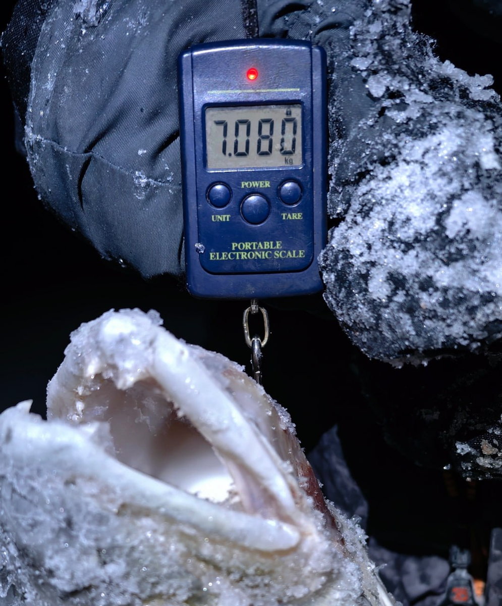 Фото: ВК | Руслан Файзуллин