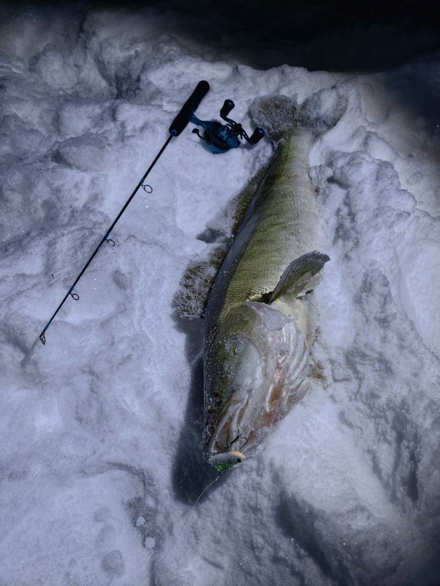 Фото: ВК | Руслан Файзуллин