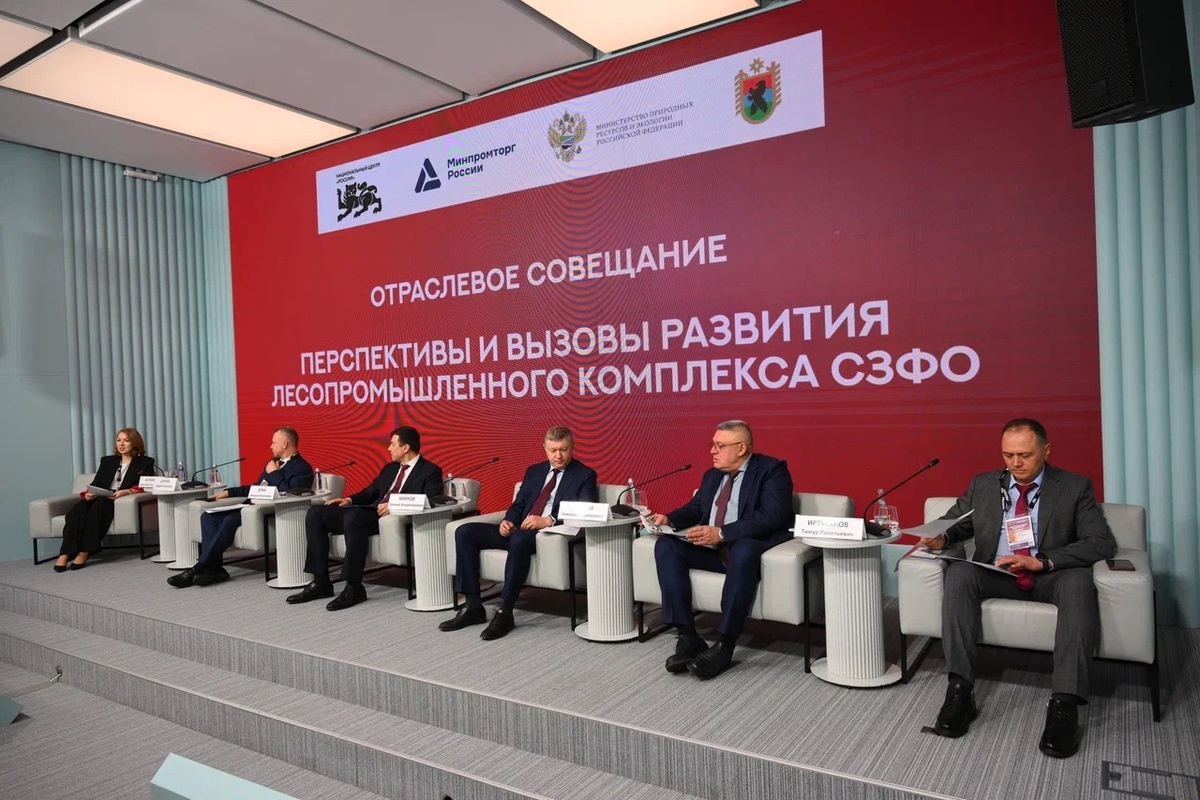    Стратегическое отраслевое совещание «Перспективы и вызовы развития лесопромышленного комплекса СЗФО» в Москве. Фото: «Республика»/Сергей Юдин