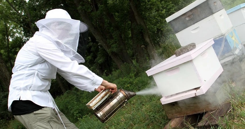 Выбираем дымарь пчеловода