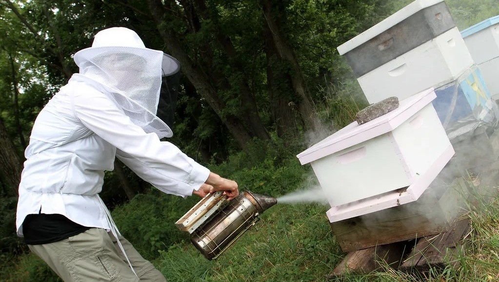 Дымарь пчеловода в работе