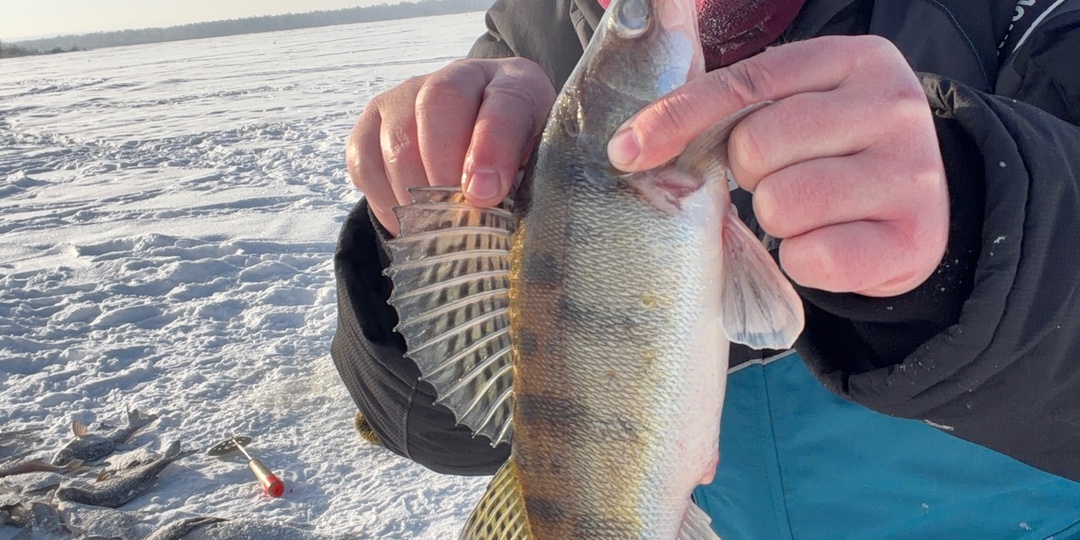 Сергей Груздев. Найти золотую лунку