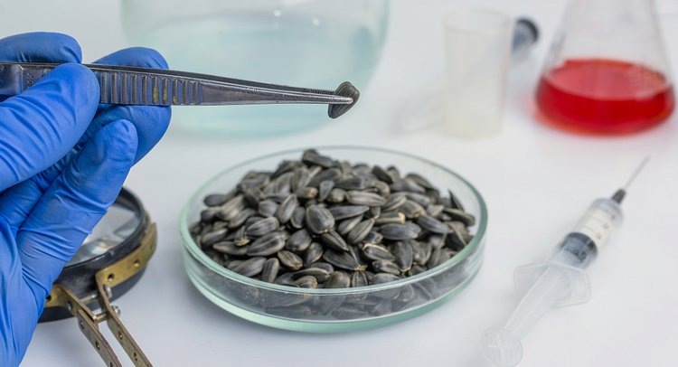    Фото: ФГБУ ЦОК АПК