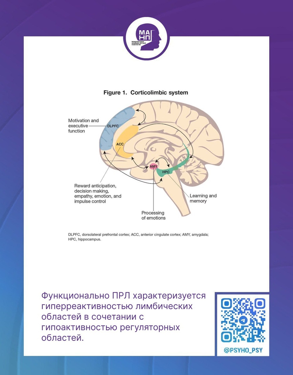 Гиперрактивность лимбических одластей в сочетании с гипоактивностью регулярных областей мозга при ПРЛ.
