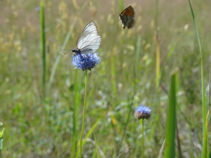 фото автора, под Шатурой