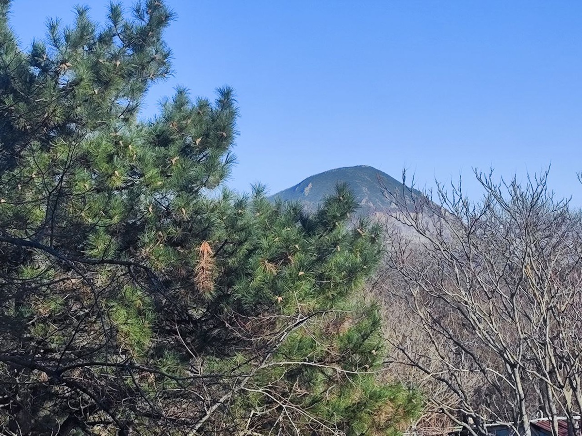 Вид из окна