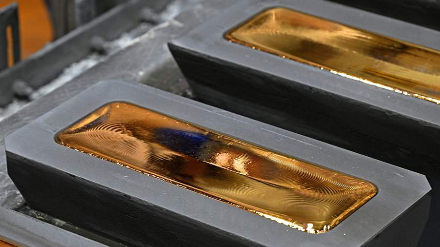 Фото: РИА Новости/Илья Наймушин