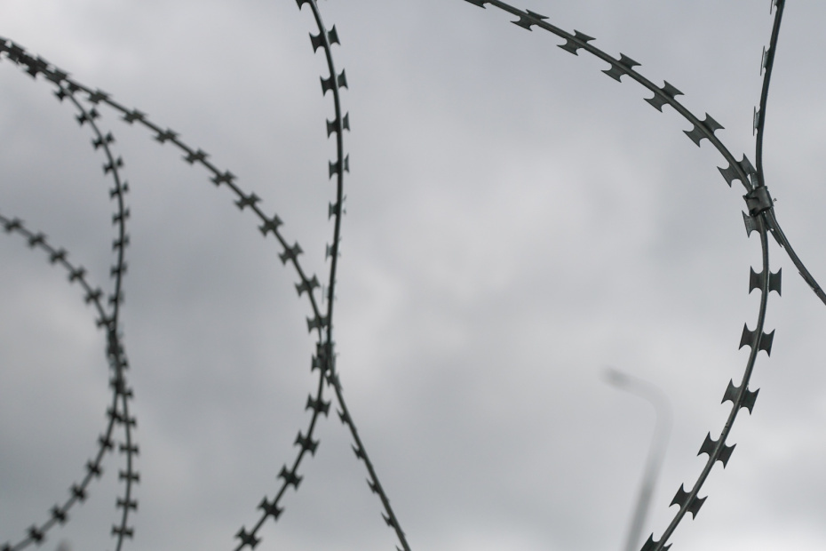    Алексей Белкин/NEWS.ru