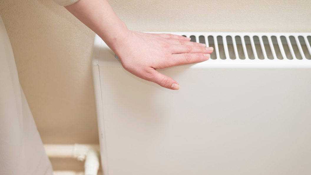    фото:Shutterstock