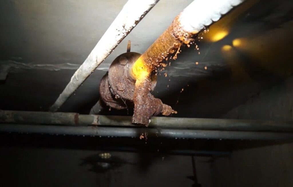    Фото: smolnarod.ru