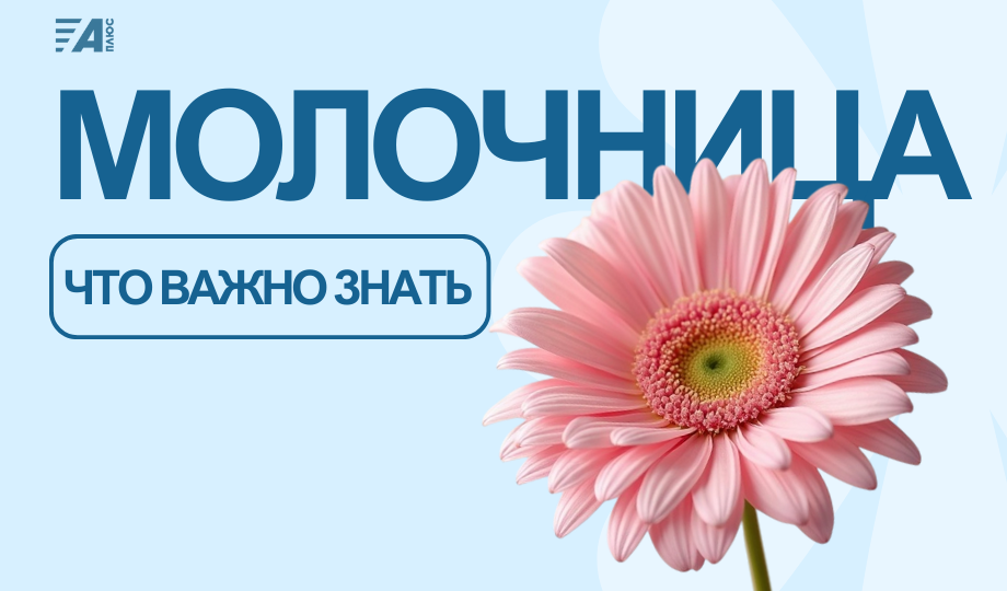 МОЛОЧНИЦА. ЧТО ВАЖНО ЗНАТЬ?