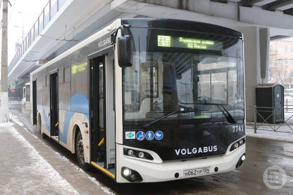    фото: Матвей Горбунов / "Городские вести"