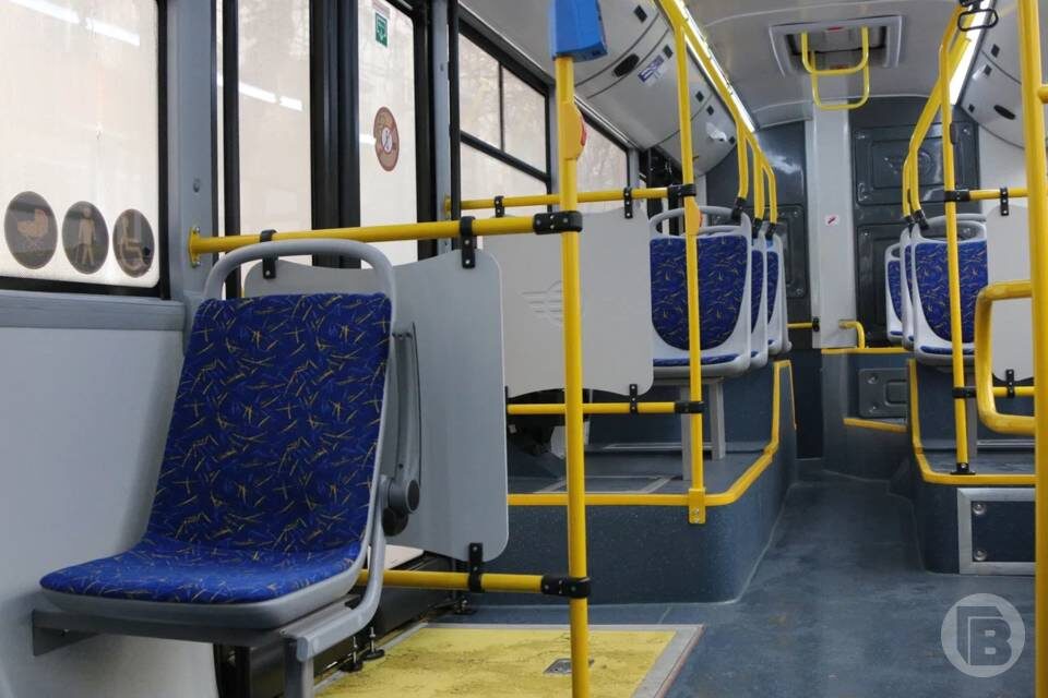    фото: Матвей Горбунов / "Городские вести"