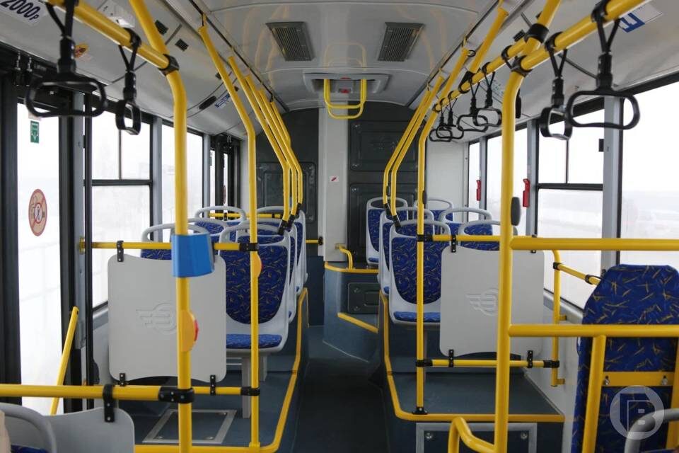    фото: Матвей Горбунов / "Городские вести"