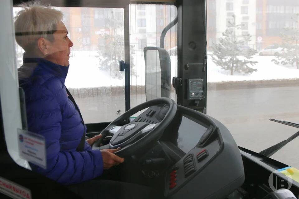    фото: Матвей Горбунов / "Городские вести"