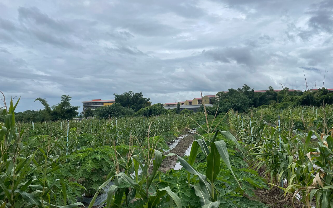 Из открытых источников