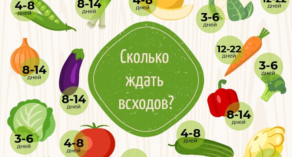 Памятка для тех, кто любит расстраиваться раньше времени