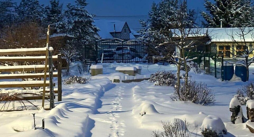    REGIONS/Полина Крачун