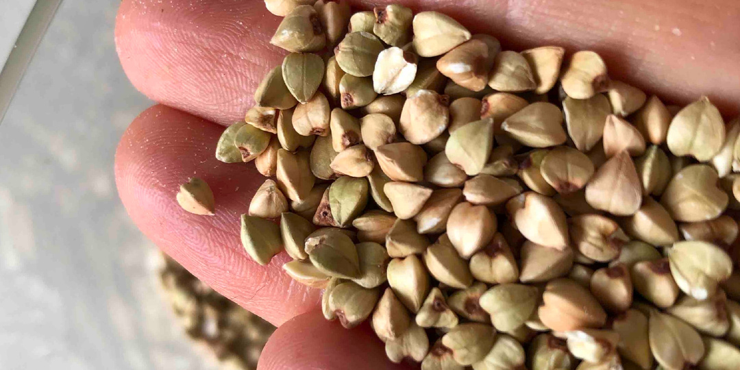 Мочевая кислота мучила годами, пока не отказалась от гречки. Восстановила суставы в 50 лет