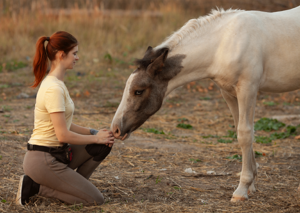 Доверительное общение с лошадью залог успешных занятий 