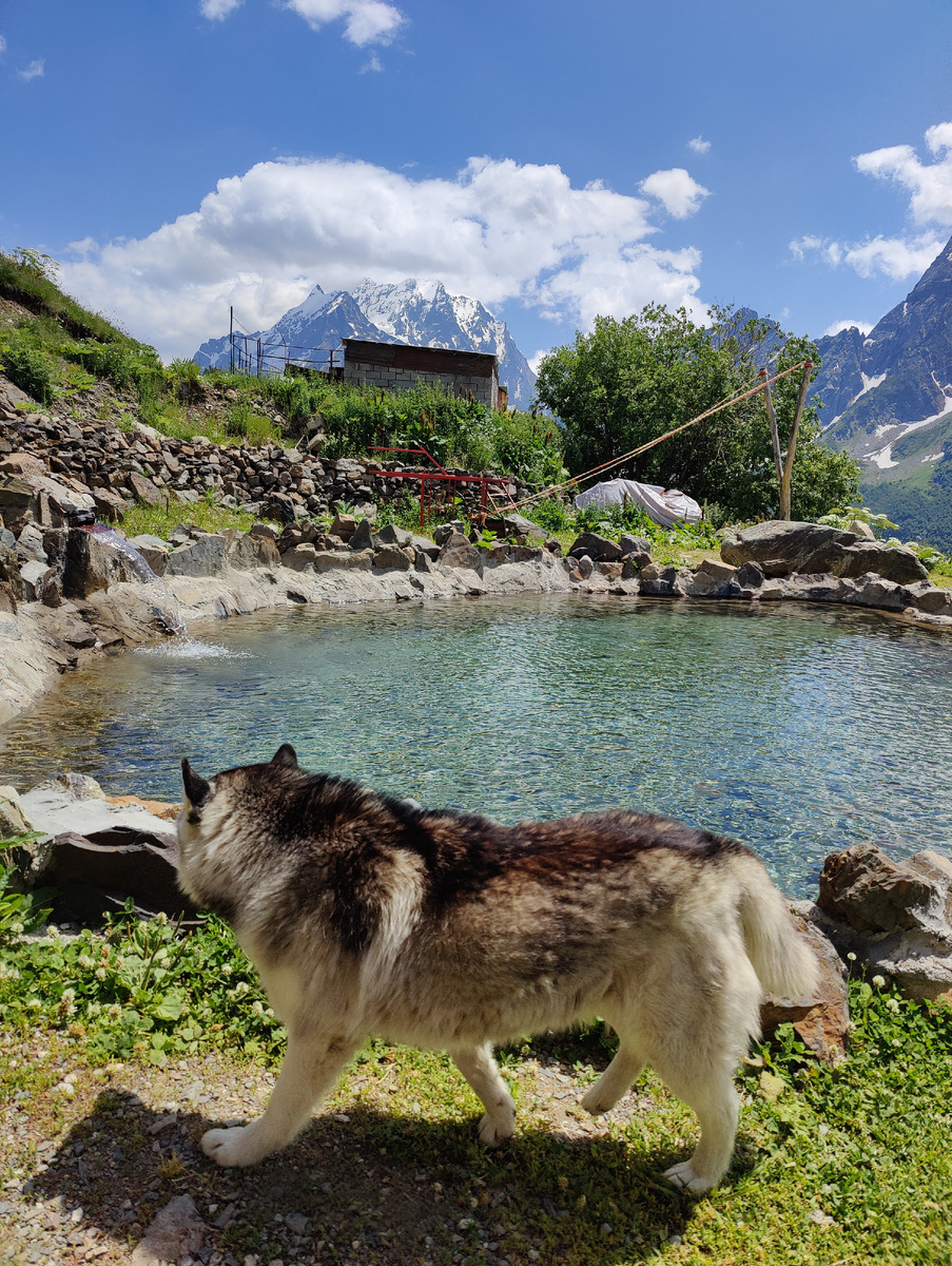 Фото автора