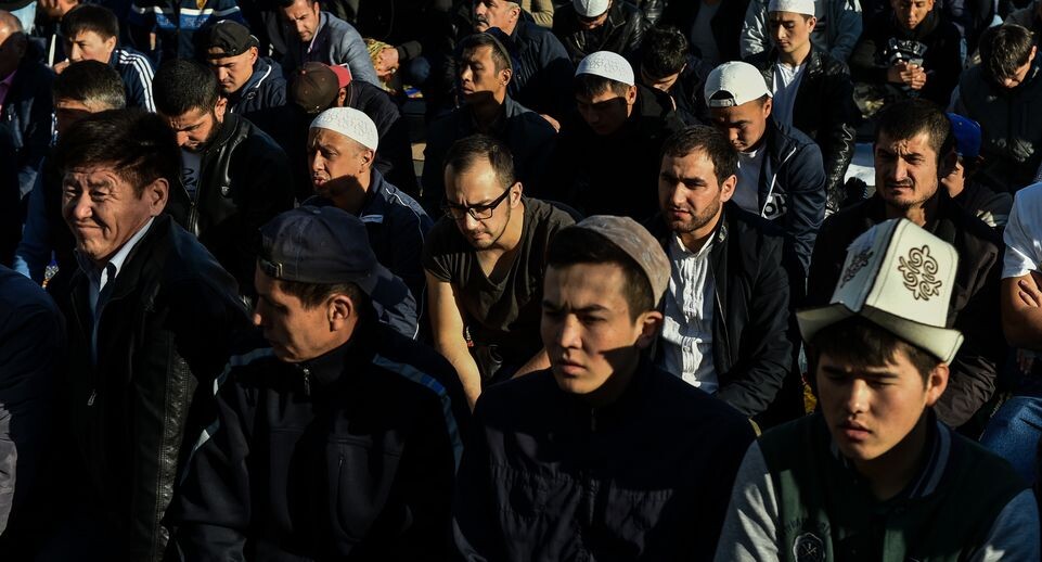    Медиасток.рф