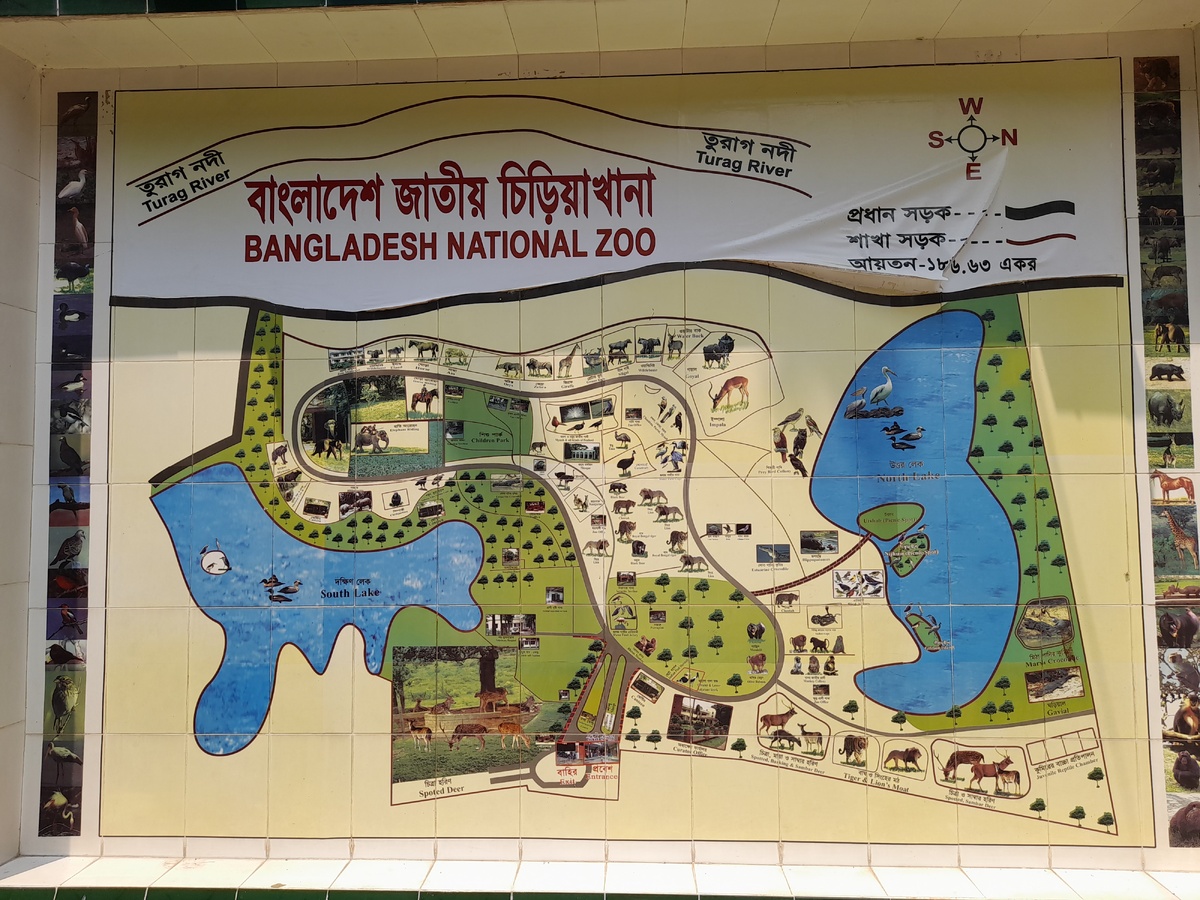 Карта зоопарка