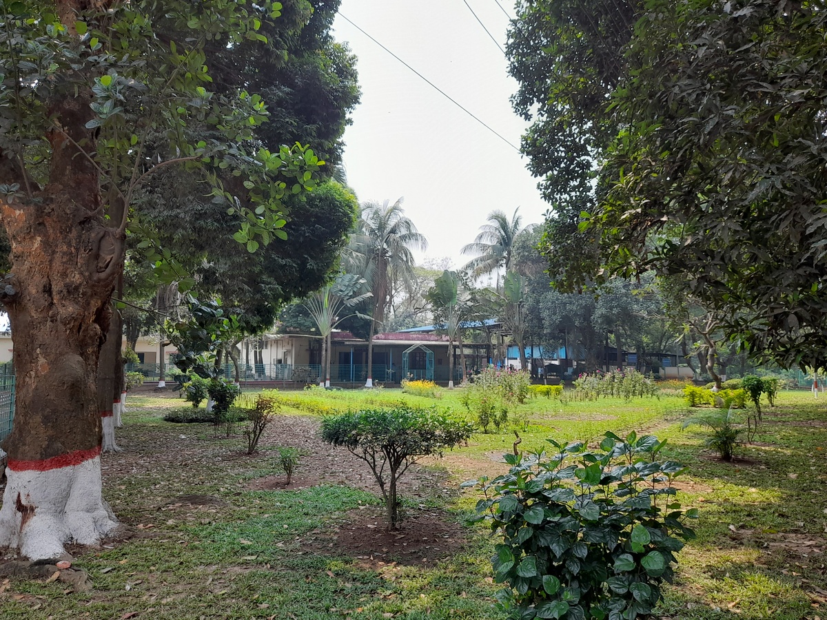 Царство зелени