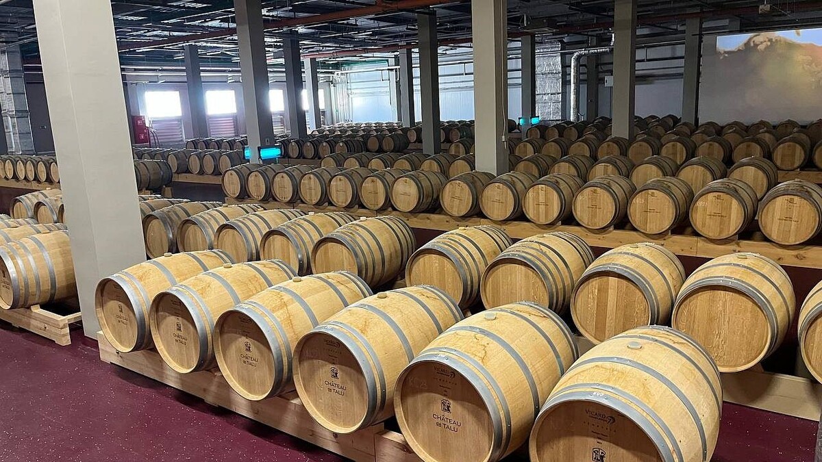    Фото: телеканал «Краснодар»