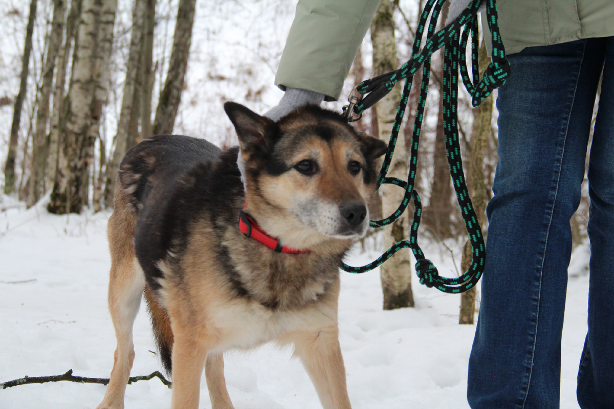 Пишите девочки. Мы за себя не спросим, не попросим, не расскажем