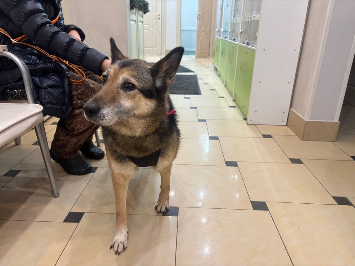 даже выбрать не могу, куда я сегодня хочу:)