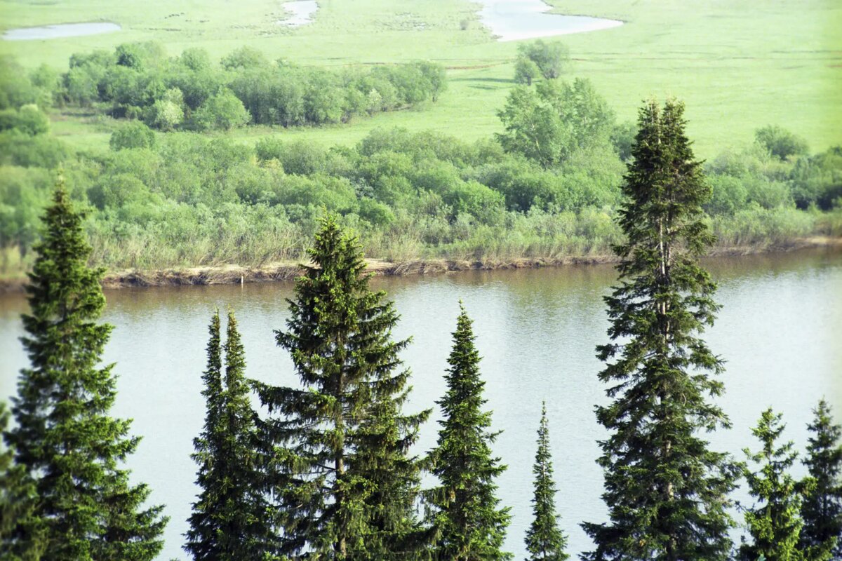     © РИА Новости. Юрий Кавер