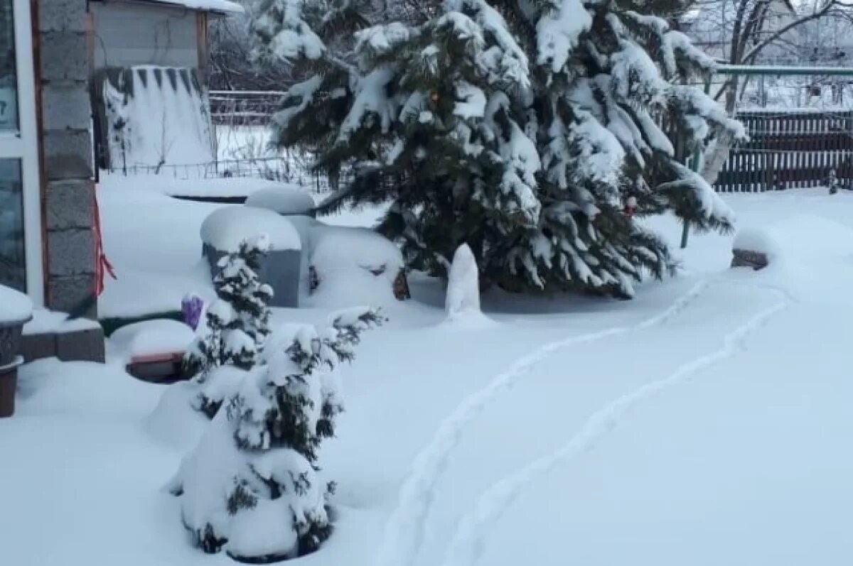    Волонтеры Иванова помогают пожилым людям справиться со снегом
